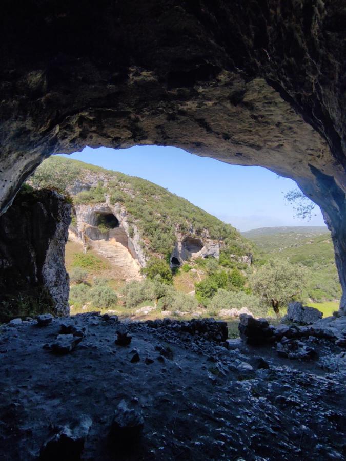 O Refugio Das Buracas Condeixa-a-Nova Εξωτερικό φωτογραφία